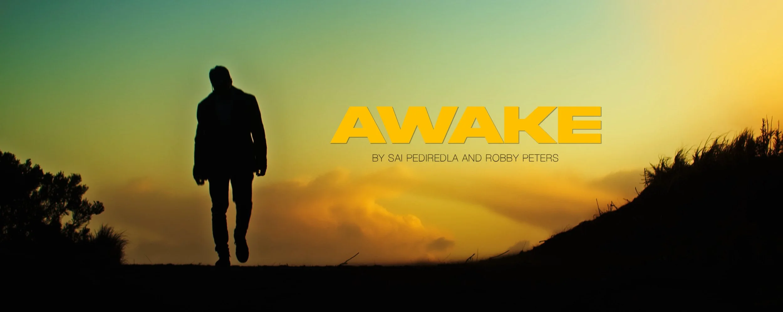 Awake